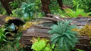 How to Make Diorama Trees (Fallen Log)
