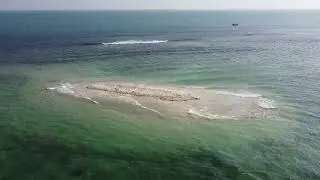 Gulf of Mannar Marine National Park | Pichaimooppan Valasai Manalthittu Eco Tourism
