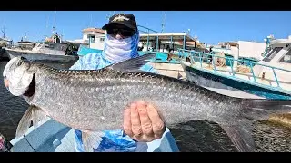 Chip Catches His First Tarpon