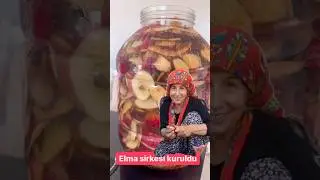 Doğal elma sirkesi nasıl kurulur #my #shorts #sirke