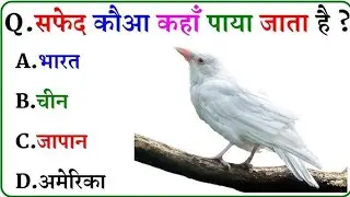 GK Question || GK in Hindi || GK Question and Answer || GK Quiz || ANMOL GK STUDY 📚 