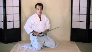 Shihan Dana Abbott Sword Training: Al Goldberg's Banana Split