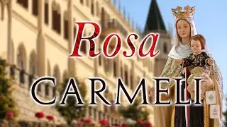 Rosa Carmeli  | St. Simon Stock | Gregorian Chant