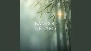 Bamboo Dream