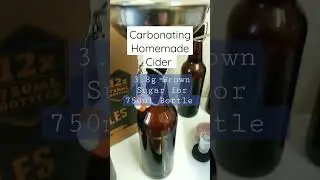 How do I Carbonate Homemade Cider? Using quality beer grade bottles and brown sugar