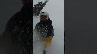 Utah Freshies ‼️❄️ #snowbird #snowboarding #vanlifesnowboarding #powday #skiutah #saltlakecity #van