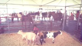 UsFoods Family Day 7.16.2016