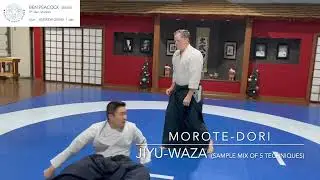 Morote-dori Jiyu-waza - 1-kyu test
