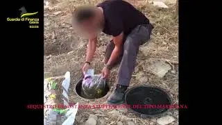 Sicilia, sequestrati 435 kg di droga e 11mila piante di marijuana