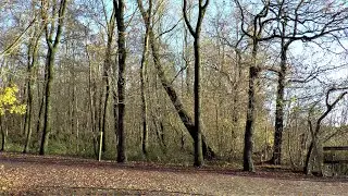 Wandelen aan het Donkmeer