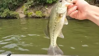 Lake Raystown, #fishing #subscribe @thewildsidewithlandonverbi5398