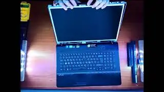 SONY Vaio PCG 91211M - Display und Rahmen Defekt - IT com & RC car Service - just do it