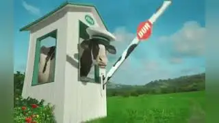 Sütaş Reklam Müzikleri (Candan Erçetin)