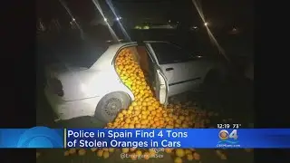 9,000 Pounds Of Oranges Found In Cars After High-Speed Chase