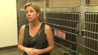 Local kennels go to new measures to ensure the safety of your dog