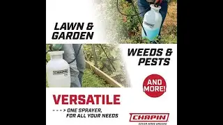 Chapin 20000 Made in USA 1 -Gallon Lawn and Garden Pump Pressured Sprayer, for Spraying Plants