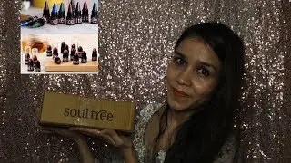 Soul Tree beauty products Review|| Natural SkinCare and Makeup brand