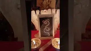 Capricorn collective Animal Wisdom guidance from Spirit and the Angels 😇 