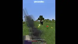 Minecraft Thief Moment
