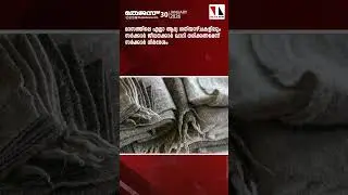 Главные новости сегодня | Новости от 30 января 2026 г. | Новости THEJAS |