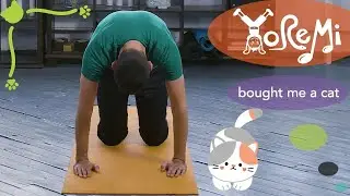 Bought Me A Cat (Yoga Flow) | Kids Yoga, Music and Mindfulness with Yo Re Mi