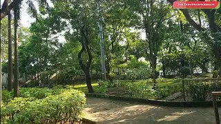 The Amazing Nature Trail in Powai, Mumbai-THE POWAI LAKESIDE PROMENADE; अद्भुत प्रकृति-पवई उद्यान;