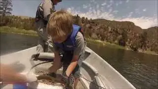 Green River Fly Fishing Cicada Madness Utah 2013