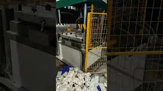 #cup  #holder  #trays  #sugarcane  #bagasse  #production  video #bio #eco #food #package