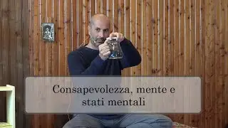 Massimo Bonomelli - Consapevolezza, mente, e stati mentali