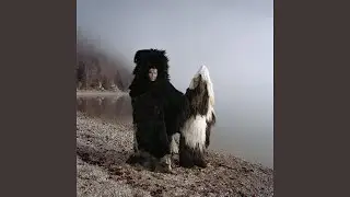 R&eacute;sign&eacute;