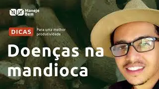 Doenças na mandioca