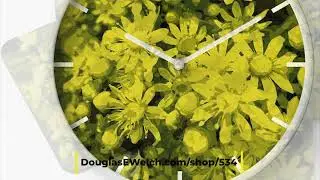 NEW DESIGN: Aeonium Flowers Illustration from Douglas E. Welch Design and Photography