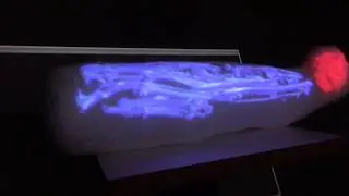 A digital introspection of a mummy cat