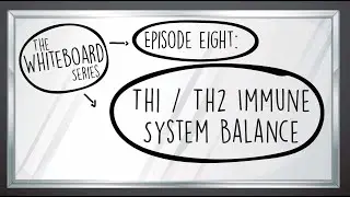 White Board Series Video #8  - Th1 / Th2 Immune System Balance