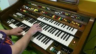 Oh, My Darling, Clementine - The Black Baroness Version - played on Yamaha Electone D-85