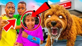 На нашу приемную дочь напала жуткая собака-человек 😭😱
