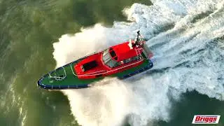 Point Lynas, Briggs Marine