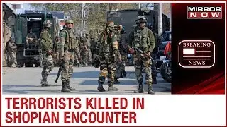 Jammu & Kashmir: Two terrorists killed and one soldier injured in Shopian encounter;
