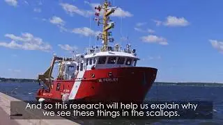 Scallop Mission Aboard the M. Perley
