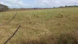 V&iacute;deo n&uacute;mero 3.864.
