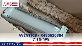 AVENTICS R480630384 CYLINDER