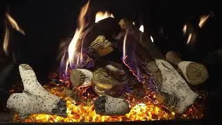 DVCP Insert with Black Glass Birch Logs 10s