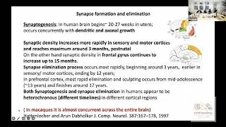 Synapse development and pruning in neurodevelopment by Dr. Jitendra Sharma