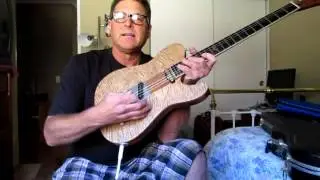 RAVEN WEST GUITAR 