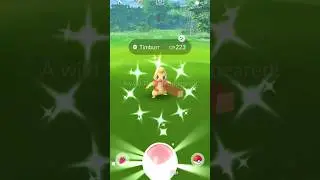 TIMBURR COMMUNITY DAY 23 SHINIES!! how did u do? #communityday #pokemongo #shiny #pokemon #timburr