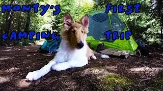 Monty's First Camping Trip