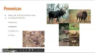 Native American Contributions Lesson