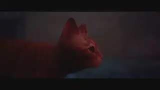 STRAY- Petit chat perdu dans un monde d&eacute;chu