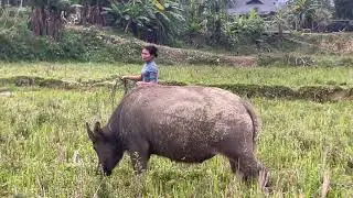 Ngày mới cuộc sống và cảnh đẹp mang đến niềm vui tươi và tràn đầy sức sống trên bản em.