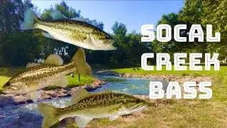 Creek Fishing at Lake Balboa for BASS! (Los Angeles Creek Fishing)